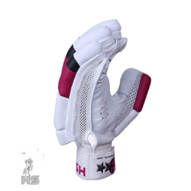 HS 2 Star Batting Gloves