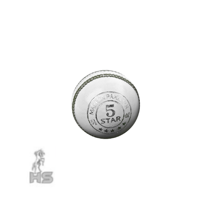 HS 5 Star Cricket Ball (White)