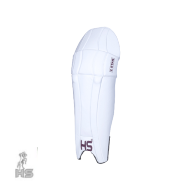 HS 2 Star Batting Pads