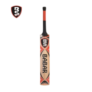 BS Gold 666 Cricket bat