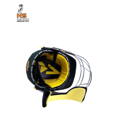 HS 41 Cricket Helmet