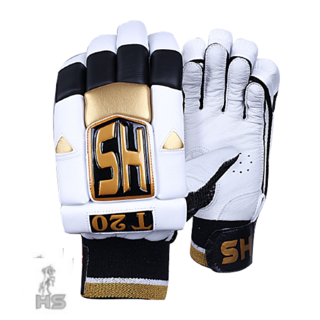 HS T20 Batting Gloves