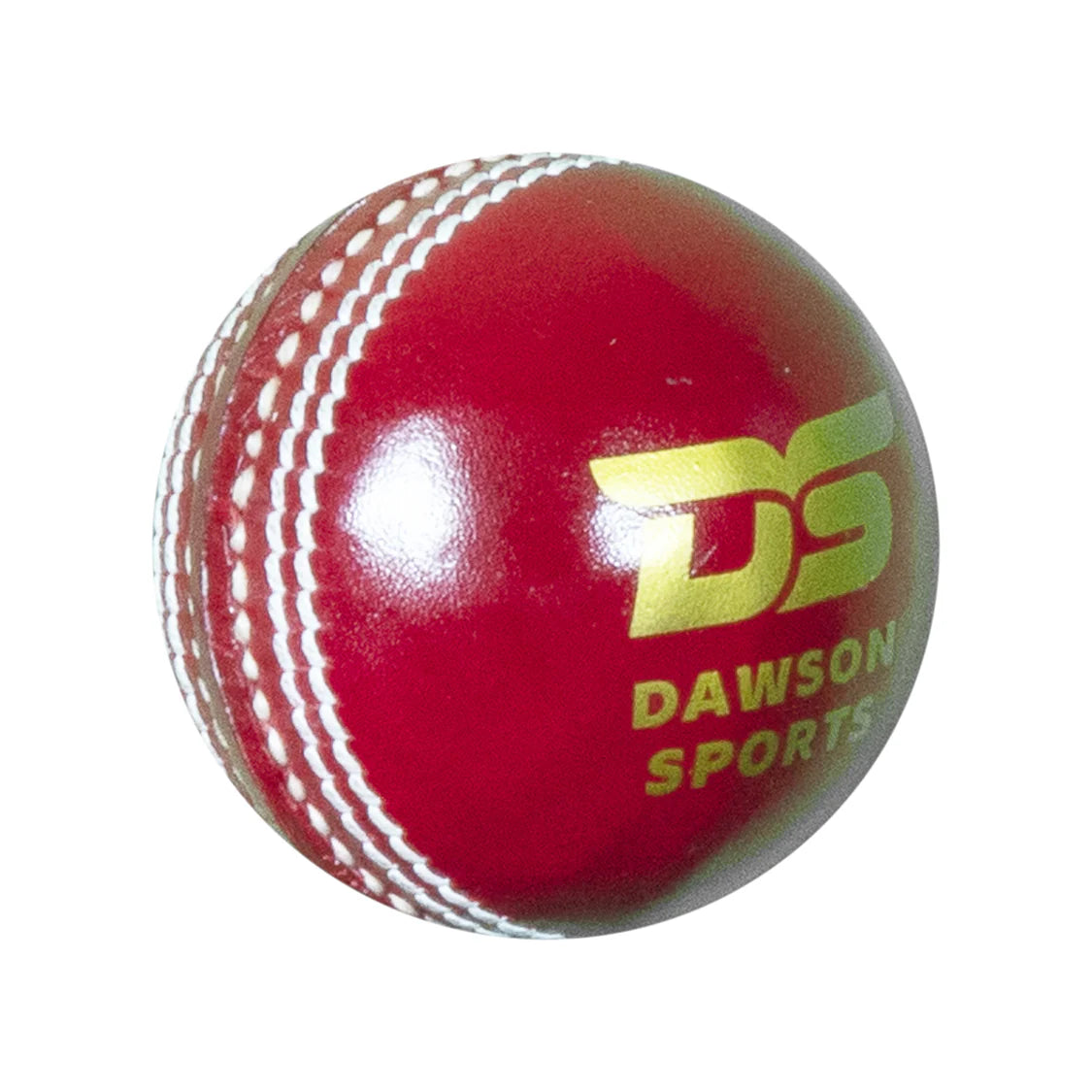 DS Club Leather Cricket Ball