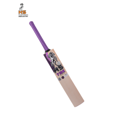 HS Y10K Cricket Bat