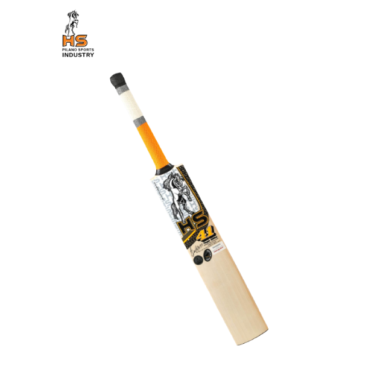 HS 41 Cricket Bat