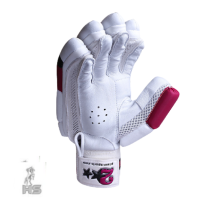 HS 2 Star Batting Gloves