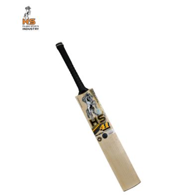 HS 41 Pro Edition Cricket Bat