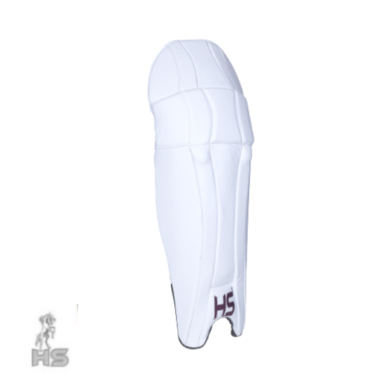 HS 2 Star Batting Pads