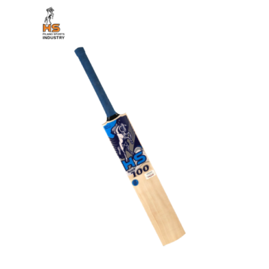 HS Spark 100 Cricket Bat