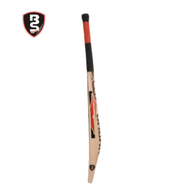 BS Gold 666 Cricket bat