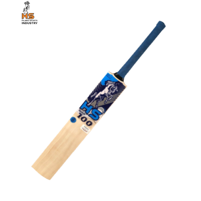 HS Spark 100 Cricket Bat