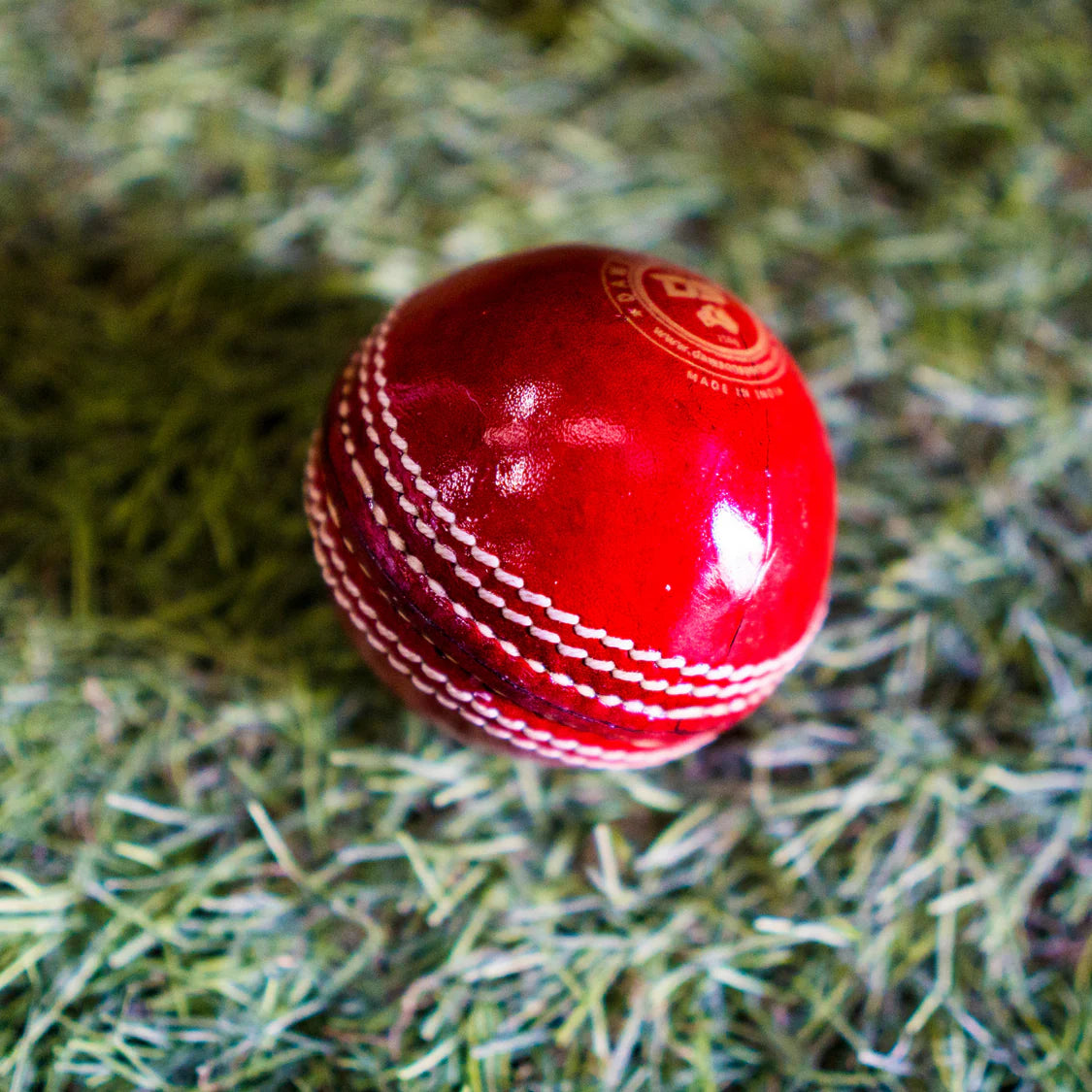 DS Club Leather Cricket Ball