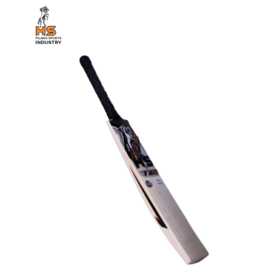 HS T20 Cricket Bat