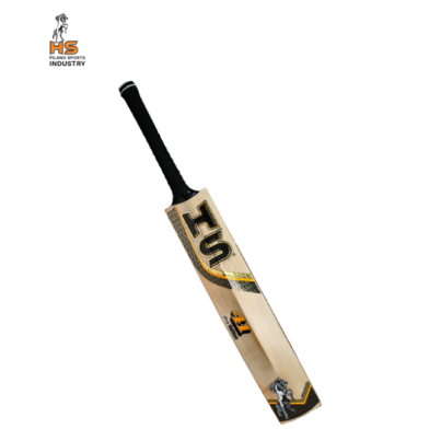 HS 41 Pro Edition Cricket Bat