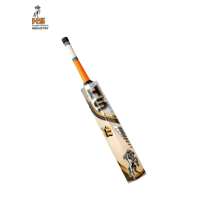 HS 41 Cricket Bat