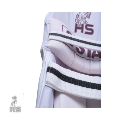 HS 2 Star Batting Pads