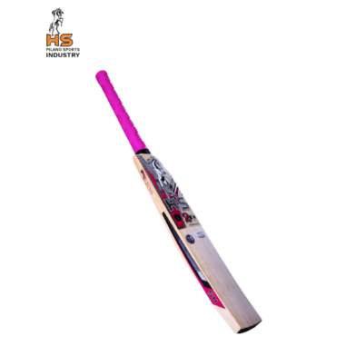 HS 2 Star Cricket Bat