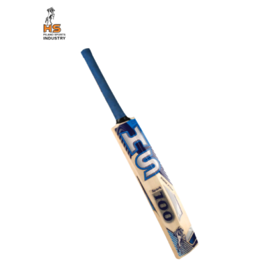 HS Spark 100 Cricket Bat