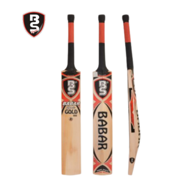 BS Gold 666 Cricket bat