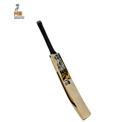 HS 41 Pro Edition Cricket Bat