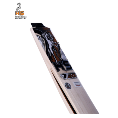 HS T20 Cricket Bat