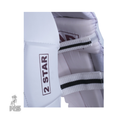 HS 2 Star Batting Pads