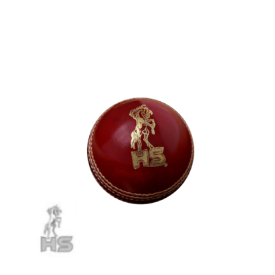 HS 5 Star Cricket Ball (Red)