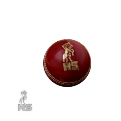 HS Spark 300 Cricket Ball (Red)