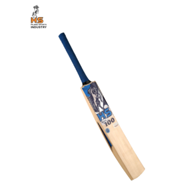 HS Spark 100 Cricket Bat