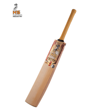 HS Core Octa Cricket Bat