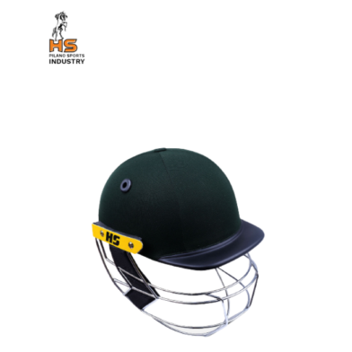 HS 41 Cricket Helmet