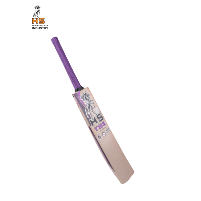 HS Y10K Cricket Bat