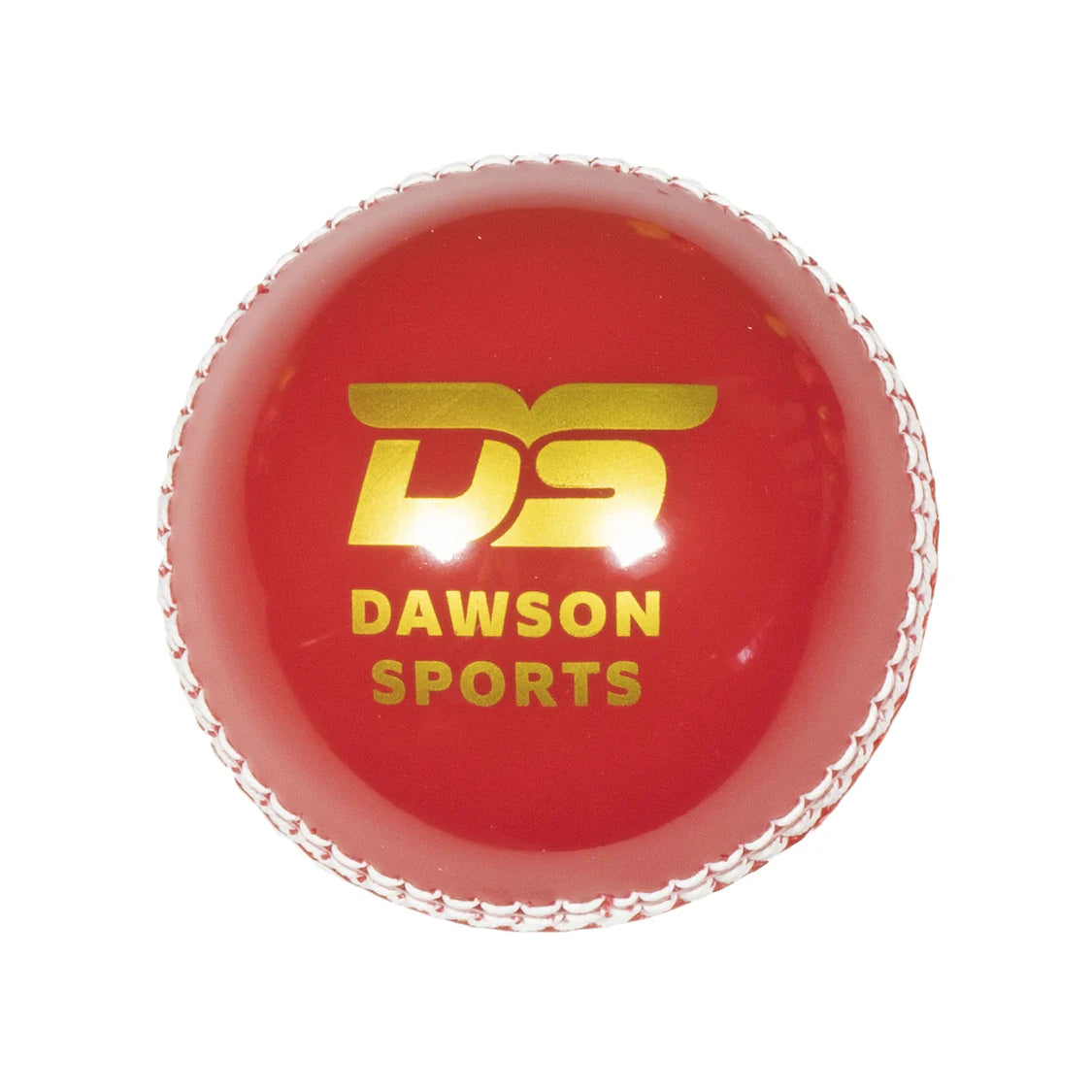 DS Incrediball Cricket Ball