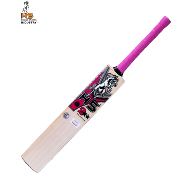 HS 2 Star Cricket Bat