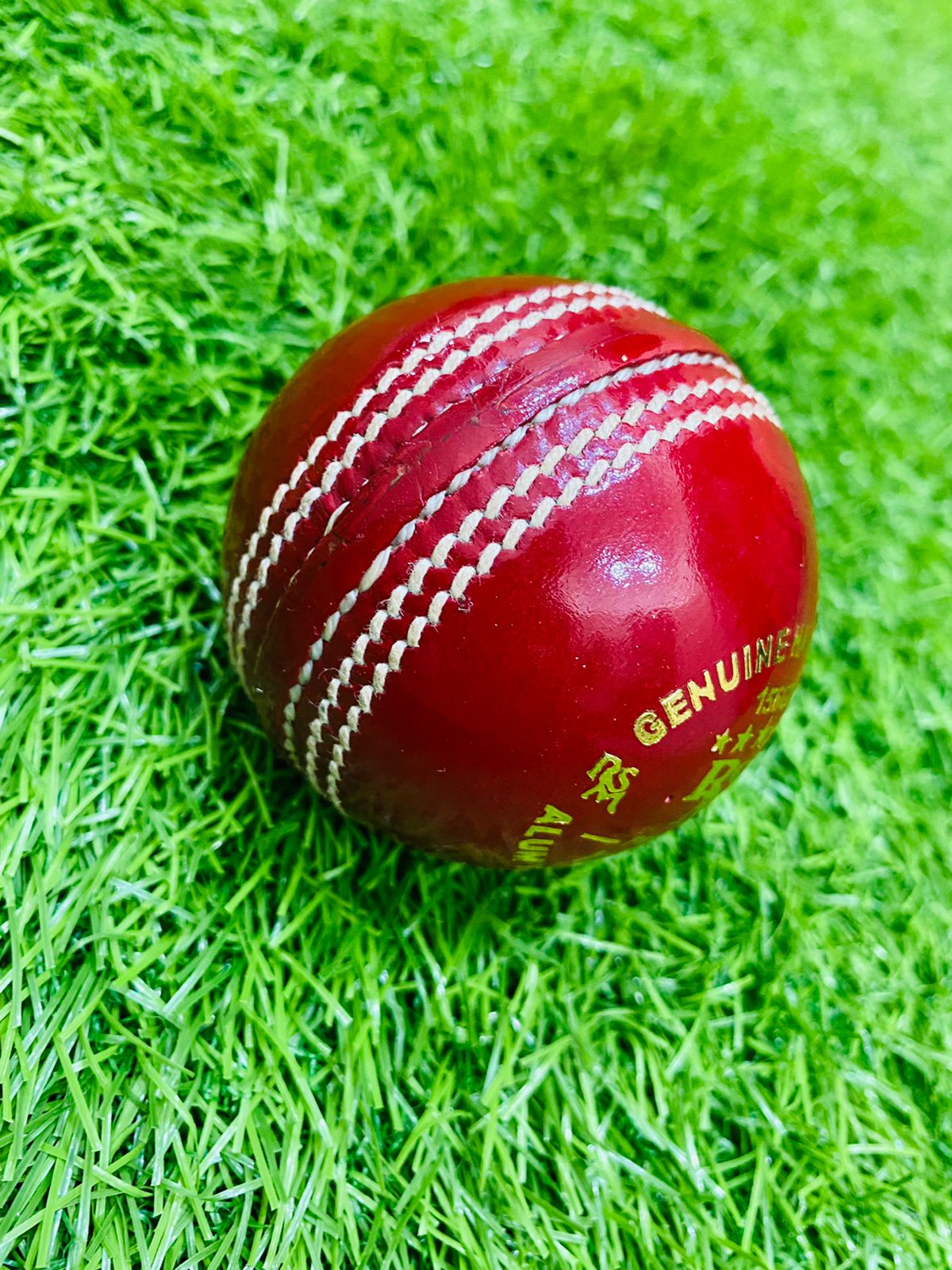 RSM Souvenir English Alum Tanned Cricket Balls Test Grade