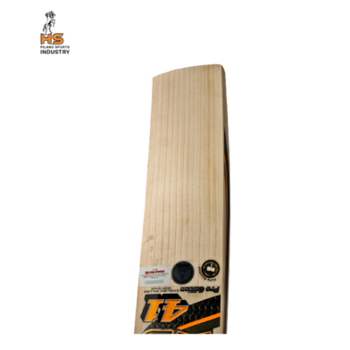 HS 41 Pro Edition Cricket Bat