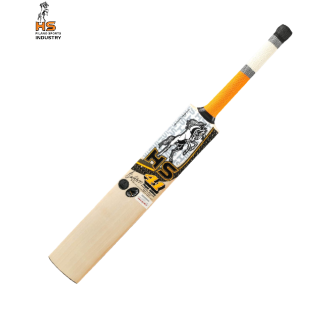 HS 41 Cricket Bat