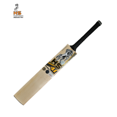 HS 41 Pro Edition Cricket Bat