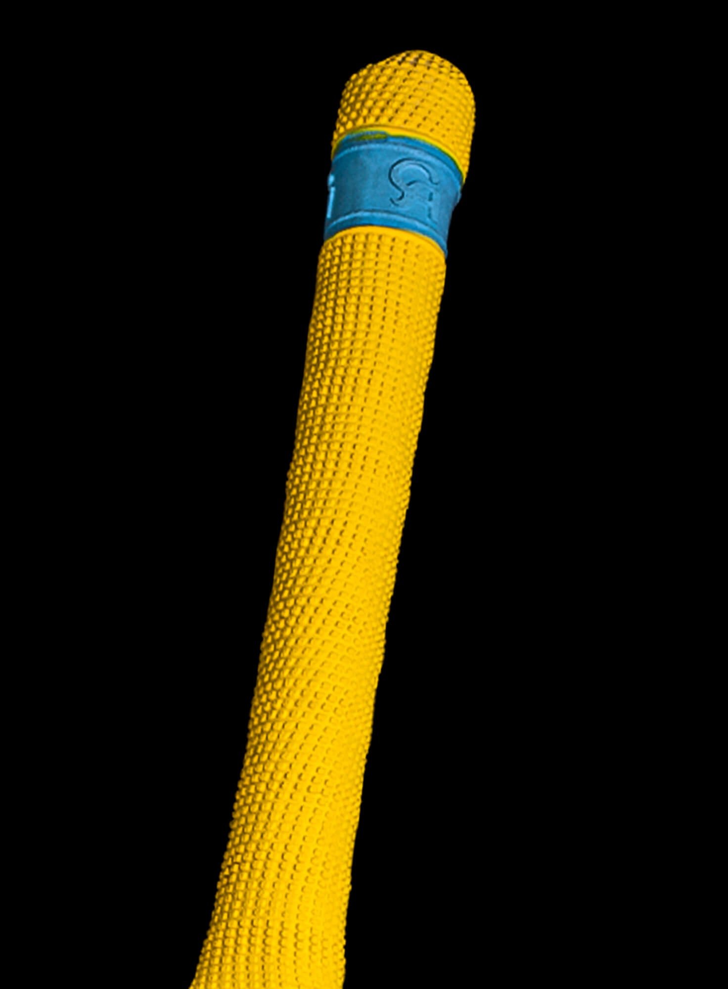 202403071237011658471969.jpg CA GOLD 1000 English Willow Cricket Bat Short Handel - Image 7