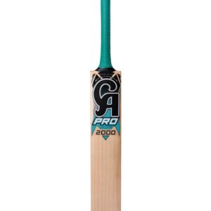 CA PRO 2000