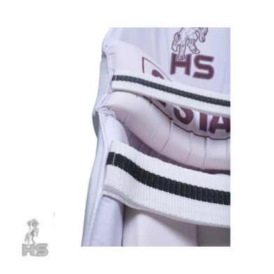 3-26-392x392-1.png HS 2 Star Batting Pads - Image 3