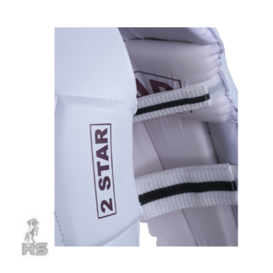 4-19-392x392-1.png HS 2 Star Batting Pads - Image 5