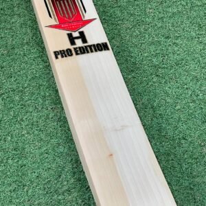 MB Malik H Pro English Willow Short Handel Bats