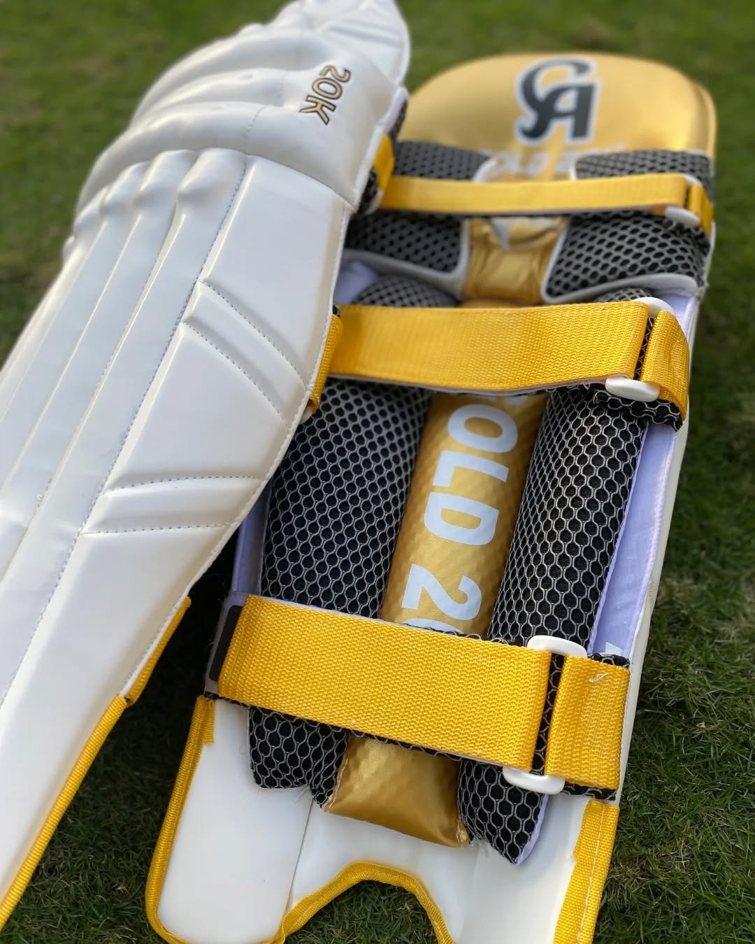 491418747_18059570885480358_6484001784774079741_n.jpg CA Gold 20K Batting Pads Light Weight - Image 3