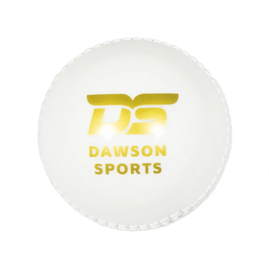 5-205_1.jpg DS Incrediball Cricket Ball