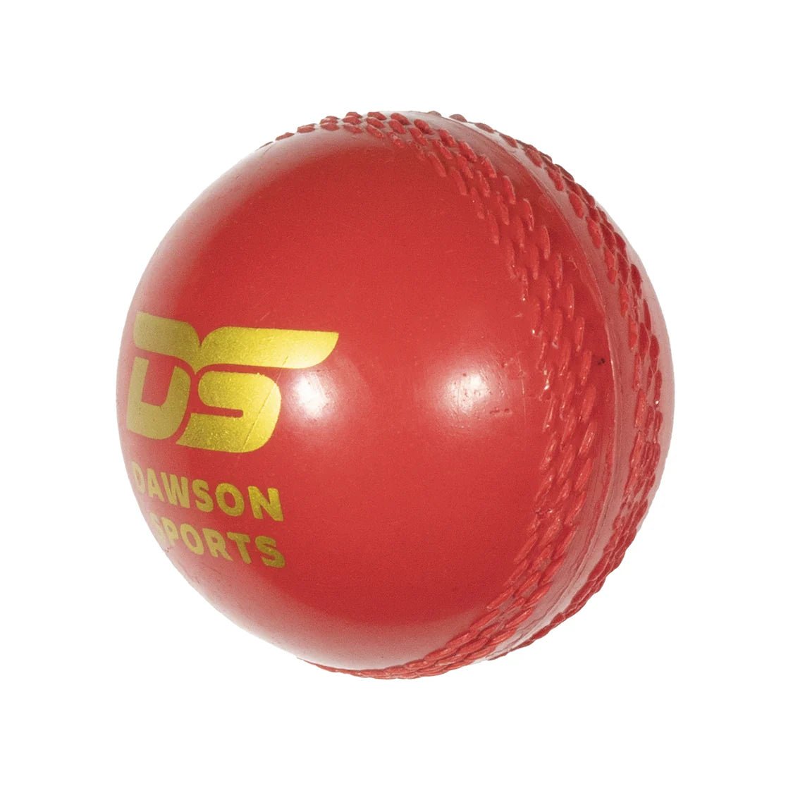 5-216_2.jpg DS Training Synthetic Cricket Ball - Image 2