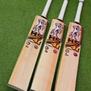 HS 41 Pro Edition English Willow Cricket Bat