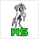 Home hs 1 2.png