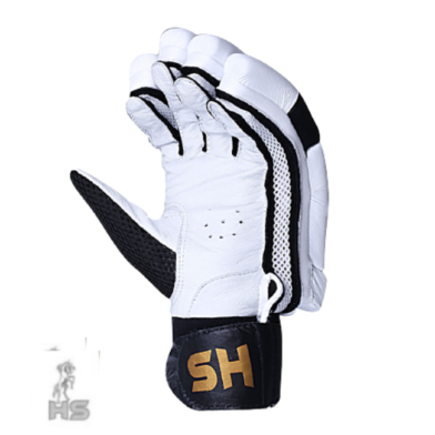 Untitled-design-3-5-392x392-1.png HS T20 Cricket Batting Gloves Men Sizes - Image 2