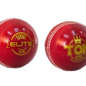 SS TON Elite Cricket Leather Ball (2 pieces)